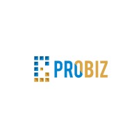 Probiz Business Consultant L.L.C logo - Similar company to Rapid Growth - Business Consultant In Uae