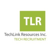 TechLink Resources, Inc logo - Similar company to Techlink Services