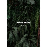 Mare Blue logo - Similar company to Cetia Obras Y Servicios