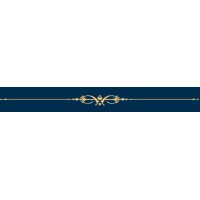 KURT-BIOMEDICAL logo - Similar company to St International