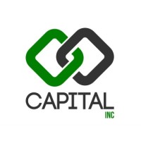 Capital Enterprises logo - Similar company to Wok Waka Tanzania