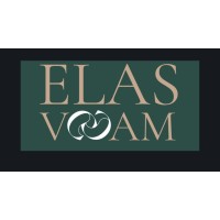 Elas Voam logo - Similar company to Vericar