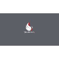 BUSHKA logo - Similar company to Babushka