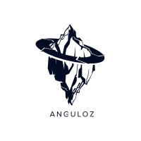 ANGULOZ Mentoría en Competitividad logo - Similar company to Innovation Coating Systems
