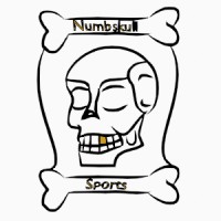 Numbskull Sports logo - Similar company to Baseball Concepts