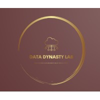 Data Dynasty Lab logo - Similar company to Ai Zones
