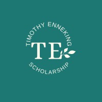 Timothy Enneking Scholarship logo - Similar company to Wead, We Advertise