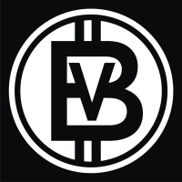 BitVinci logo - Similar company to Rtrade Technologies Ltd.