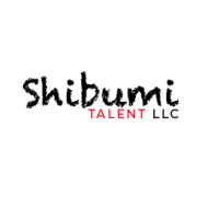 Shibumi Talent logo - Similar company to Elite Recruiting Llc