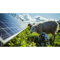 Lanergy logo - Similar company to Envams