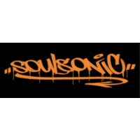 Soul Sonic Music Supervision logo - Similar company to Flou
