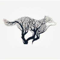 Wolfox Coffee logo - Similar company to Wolfox Collection