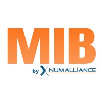 MIB-HYDRO logo - Similar company to Numalliance