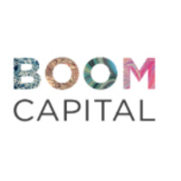 Boom Capital logo - Similar company to Pomifer Capital