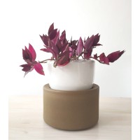 Hugo Torres logo - Similar company to Beniva Consulting Group, Now Softwareone