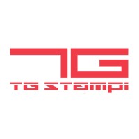 TG STAMPI srl logo - Similar company to System Stampi