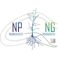 Laboratorio de Neuroplasticidad y Neurogenética - Universidad de Chile logo - Similar company to Simbals