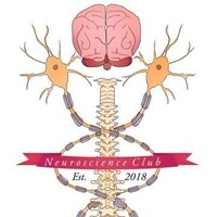 Neuroscience Association logo - Similar company to The International Concussion & Head Injury Research Foundation