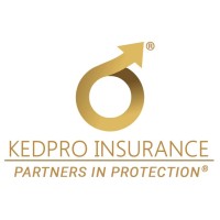 Kedpro Insurance Broking Pvt Ltd logo - Similar company to Bima Mandi Powered By Terranua Insurance Brokers Pvt. Ltd.