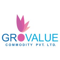 Grovalue Group logo - Similar company to Itscybertech