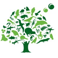 Forest & Bird logo - Similar company to Netnz