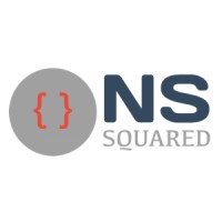 NS SQUARED SYSTEMS logo - Similar company to Rainsphere.Ai