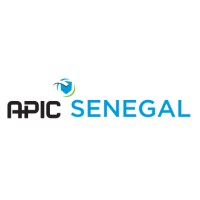 APIC Senegal Chapter logo - Similar company to Technologie Services
