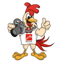 Galli Foto & Grafica logo - Similar company to Gruppo Panoramica