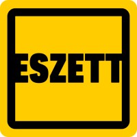 Eszett logo - Similar company to Terazo (Acquired By Zennify)
