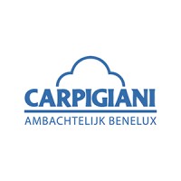 Carpigiani Ambachtelijk Benelux logo - Similar company to Hm Services