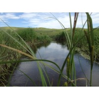 Grassroots Environmental Services logo - Similar company to Community-Based Research Laboratory (Cbrl)