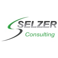 SELZER Consulting logo - Similar company to Eisq - Outsourcing-Beratung