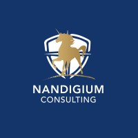 Nandigium Consulting logo - Similar company to Isec Systems