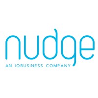 nudge Insights logo - Similar company to Sheet Sherlock