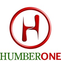 HumberOne (Humber International Limited) logo - Similar company to Altdotng