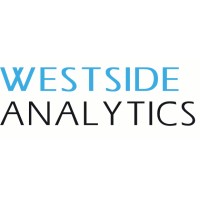 Westside Analytics logo - Similar company to Bluefintail™