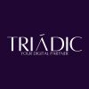 Triadic Marketing logo - Similar company to Syncortic