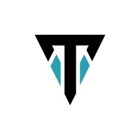 Tony Tech Insights logo - Similar company to Tony Tech Solutions