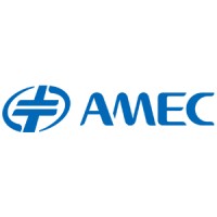 AMEC (Advanced Micro-Fabrication Equipment Inc. China) logo - Similar company to Virtaitech