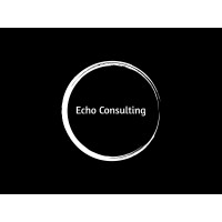 Echo Consulting logo - Similar company to No