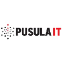 PUSULA IT logo - Similar company to Flowise