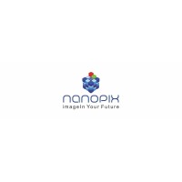 nanoPix ISS (P) Ltd. logo - Similar company to Nextgen Digital Solutions - Nds