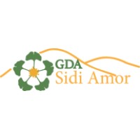 GDA Sidi Amor logo - Similar company to Cef Conseil