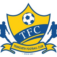 Teungueth FC logo - Similar company to Proxy Market