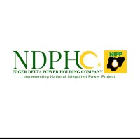Niger Delta Power Holding Company Limited logo - Similar company to Middlecraft Digital