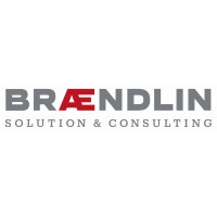 Brändlin & Partner AG logo - Similar company to Making Spaces