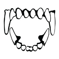 Dogged Sportswear logo - Similar company to The Visionary Group Tx