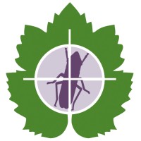CDFA Pierce's Disease / Glassy-winged Sharpshooter Board logo - Similar company to Cdfa Bps Careers