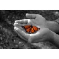 Charlotte Therapy Associates, PLLC