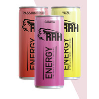 RAH Energy logo - Similar company to Pingora